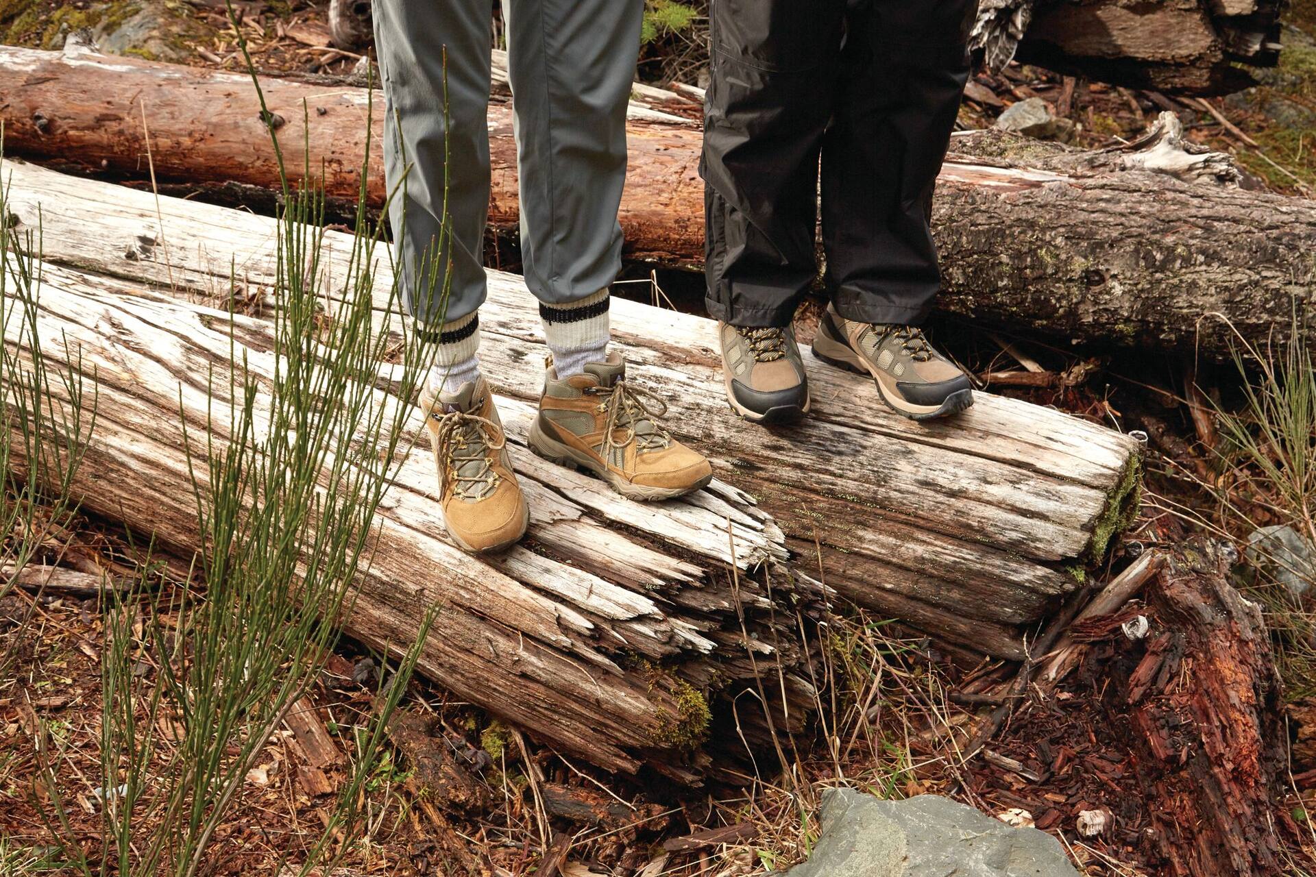 Canadian tire 2024 hiking shoes