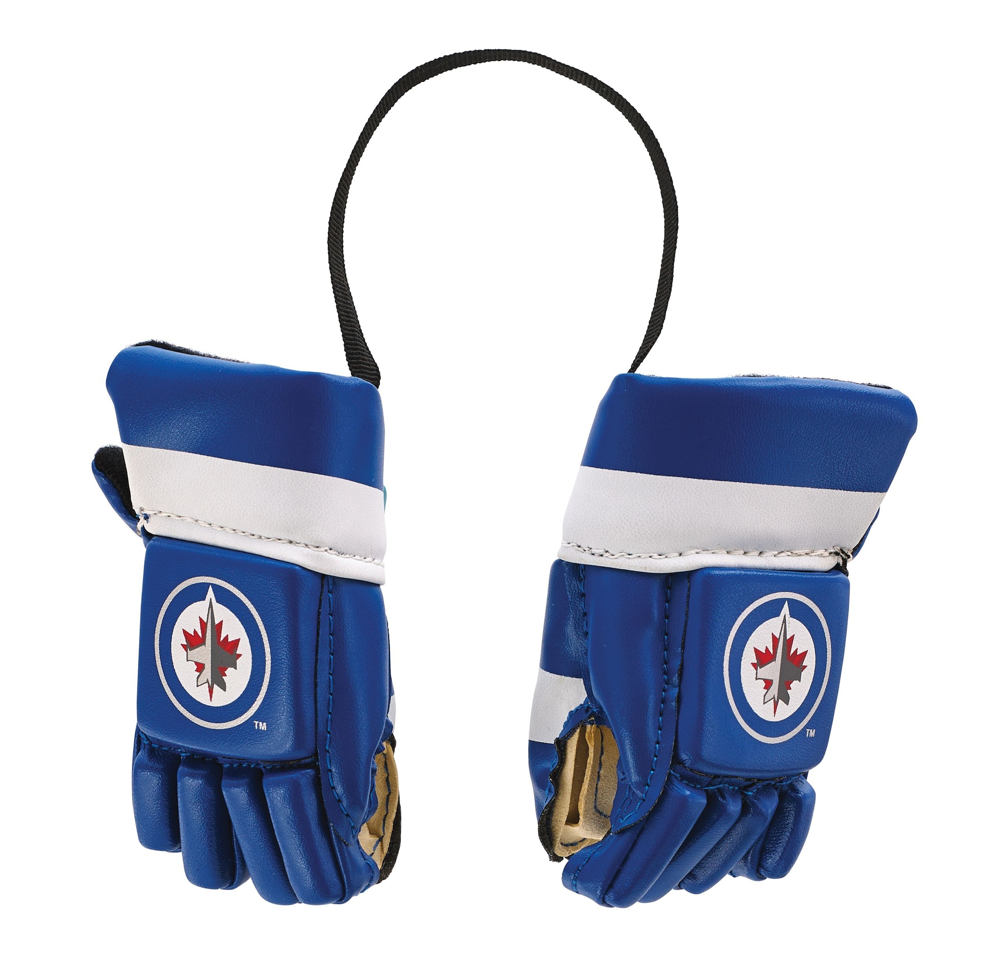 NHL Winnipeg Jets Mini Hockey Gloves Canadian Tire