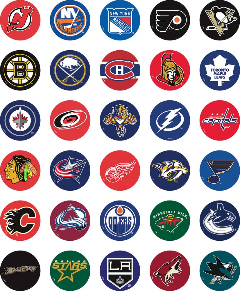 NHL Magnetic Standings Board
