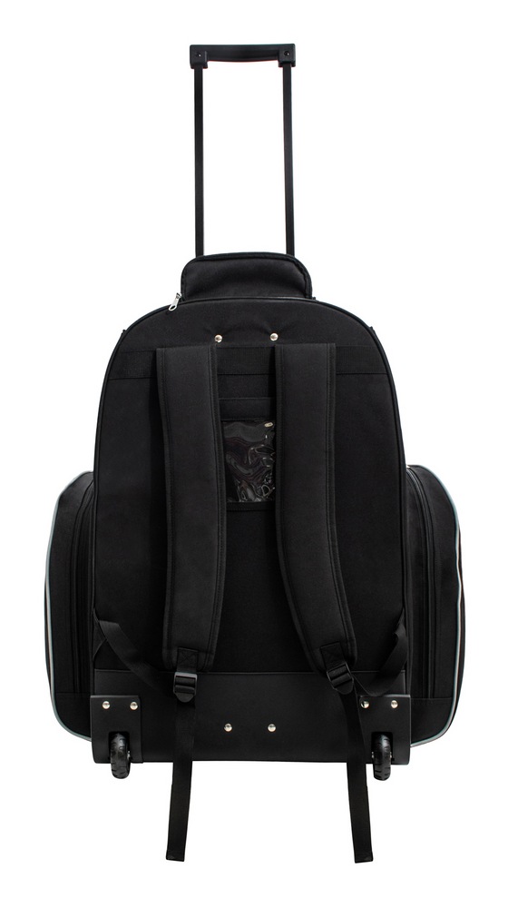 Sherwood Wheeled Backpack Hockey Bag, 25in Canadian Tire