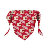 NHL Calgary Flames Pet Bandana Front_Flat