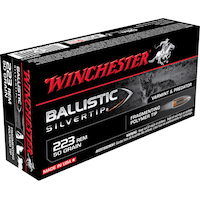 Winchester Supreme .223 Rem 50-Grain Ballistic Silvertip Rifle Ammunition