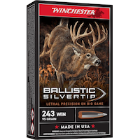 Munitions Winchester Supreme .243 Wsm Win Super Short Mag, 95 grains
