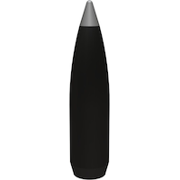 Winchester Silvertip Supreme .30-06 Springfield, 150 grains