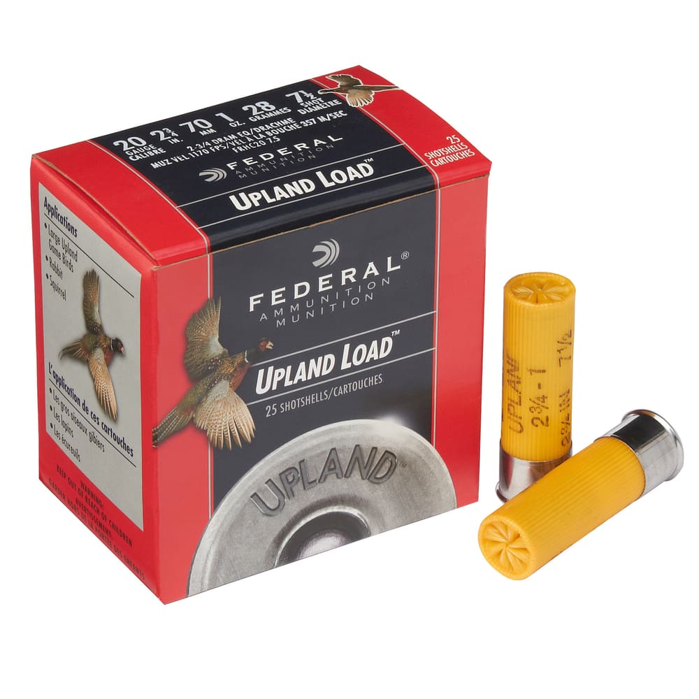 Federal Field Range 20-Gauge 2-3/4-in #7.5 Lead Shotgun Shells ...