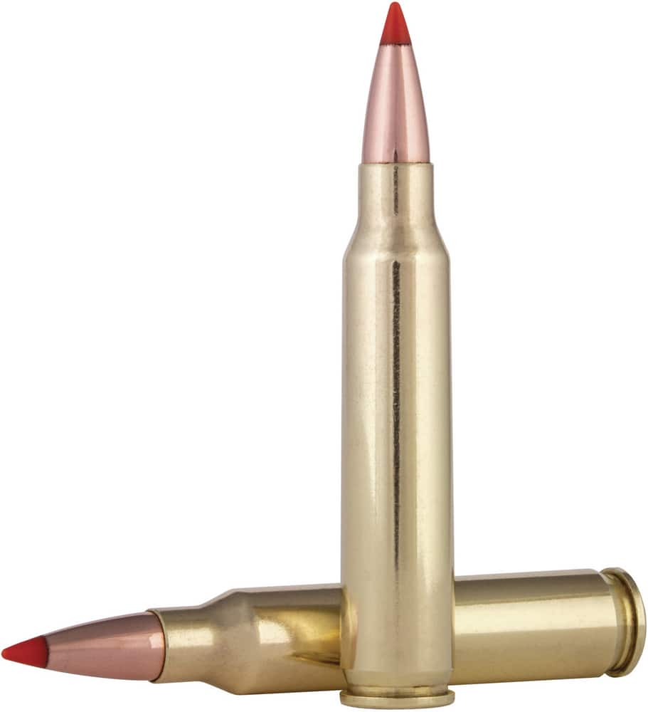 Federal Varmint 22-250 Remington 40 Grain Hornady V-Max Cartridge | Canadian Tire