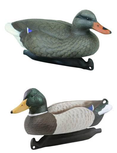 [Bild: decoy-8-mallard-4-hen-535e0d83-eb95-4a20...29b07f.png]