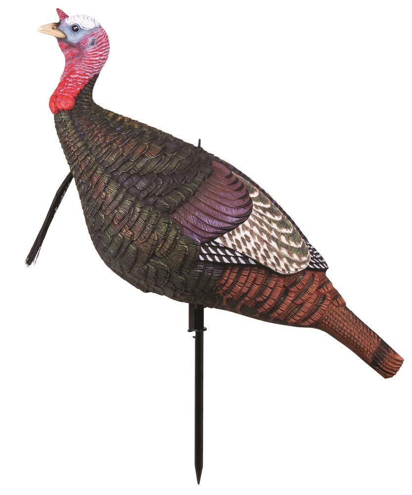 Mad Walking Tom Turkey Decoy Canadian Tire