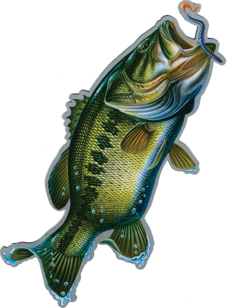 Rivers Edge Bass Car Door Canadian Tire