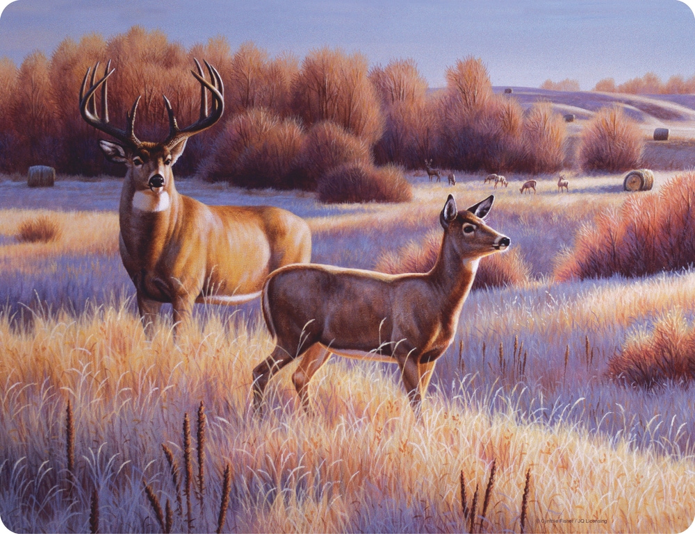 Rivers Edge Tempered Glass Deer Cutting Board Canadian Tire