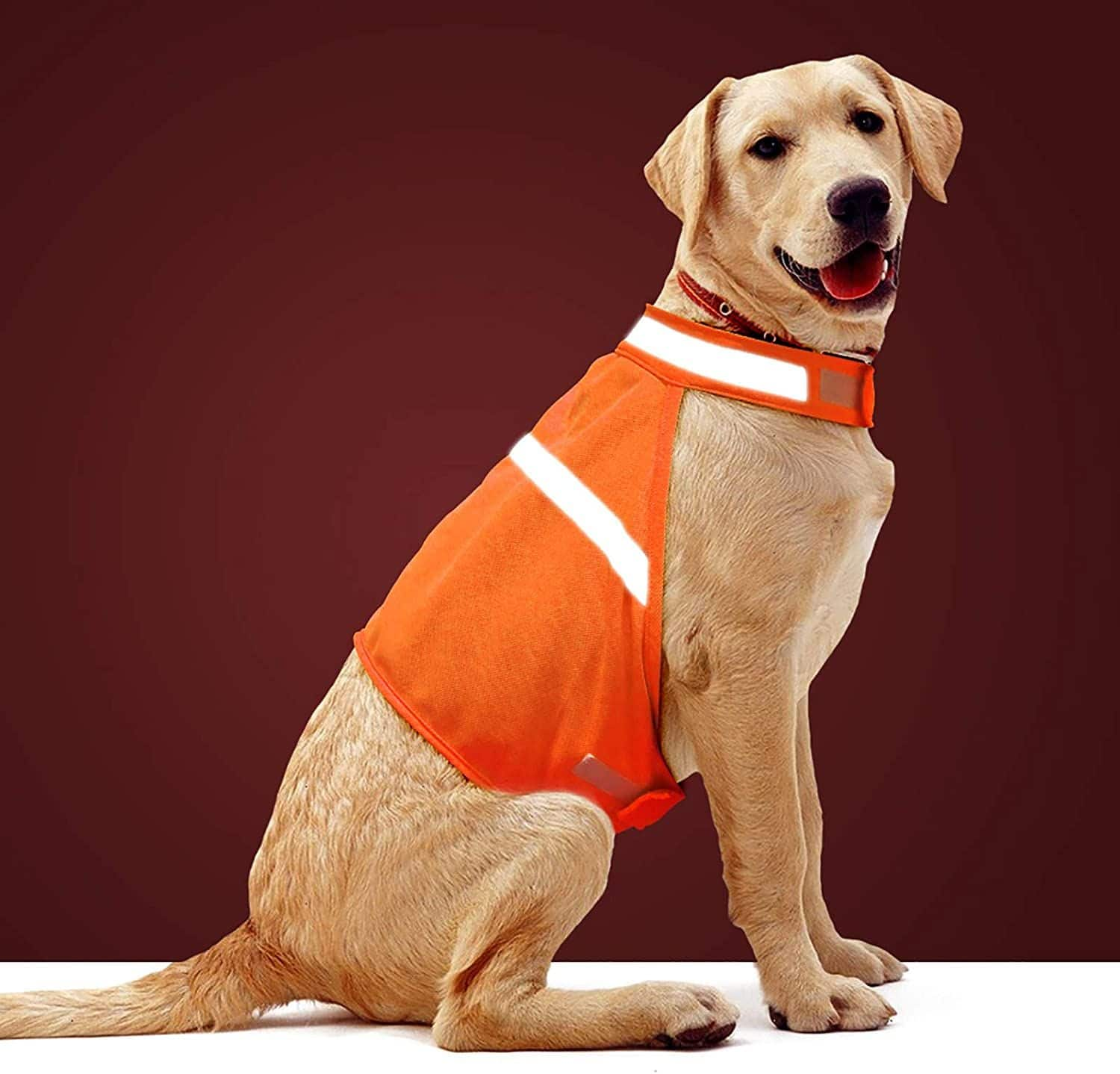 Hunter orange dog vest best sale