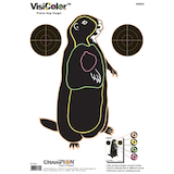 Champion VisiColor Hunting Ground Hog Shooting Targets, 10-pk Front_Flat