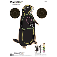 Champion VisiColor Hunting Ground Hog Shooting Targets, 10-pk Front_Flat