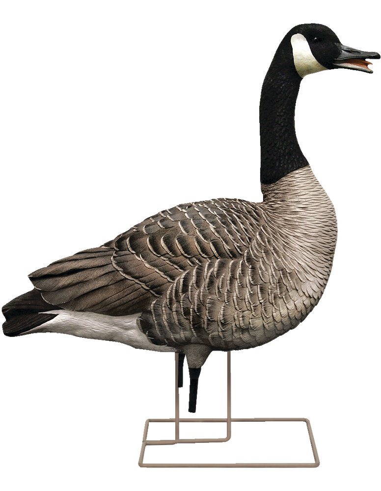 AvianX Fusion Honker Goose Decoys, 6pc Canadian Tire