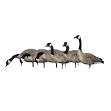 Avian-X Fusion Honker Goose Decoys, 6-pc Front_Three_Fourths_Angled_Left