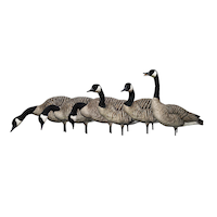 Avian-X Fusion Honker Goose Decoys, 6-pc Front_Three_Fourths_Angled_Left