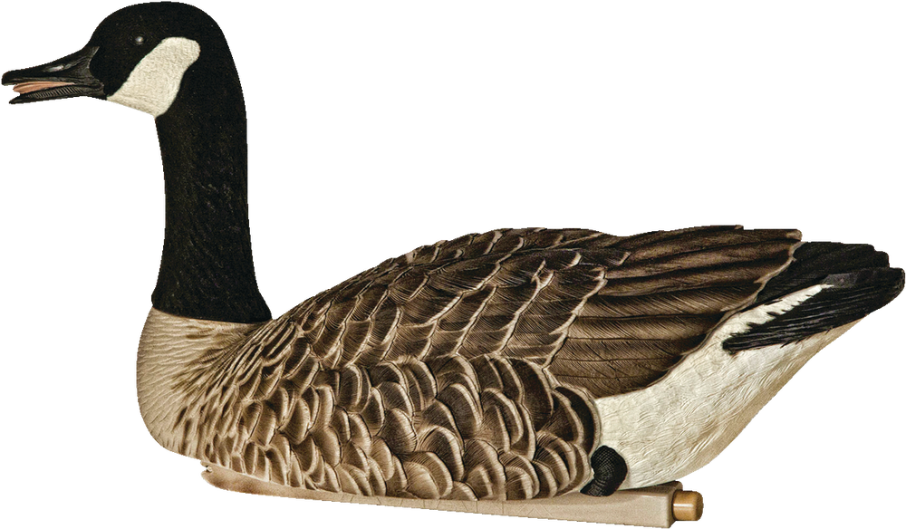 AvianX Topflight Floater Honkers Goose Decoys, 4pk Canadian Tire