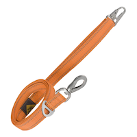 Laisse pour chien tissée Browning, orange, 1 x 6 po
