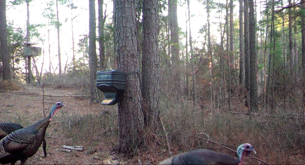 Moultrie Feed Station 