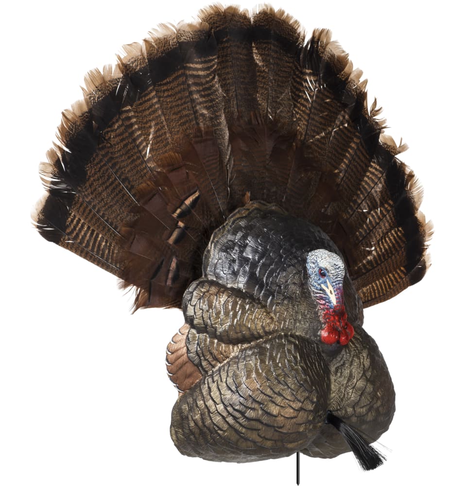 battery operated turkey decoy