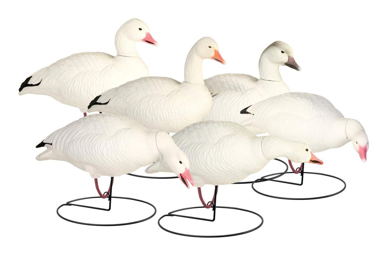 Final Approach® Full Body Snow Goose Hunting Decoys, 6-pk