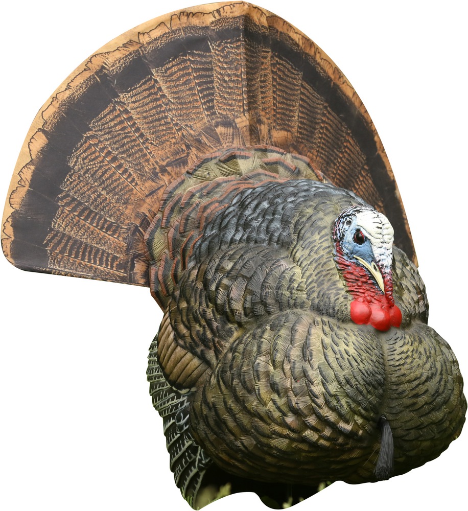 AvianX Strutter Hollow Body Foldable LifeLike Hunting Turkey Decoy