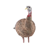 Avian-X LCD Hunting Lookout Hen Turkey Deocy Front_Angled_Right