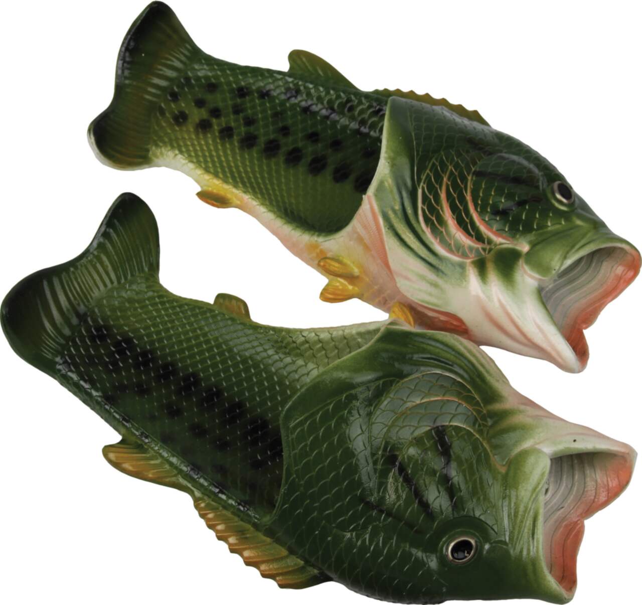 Fish slides shoes shop