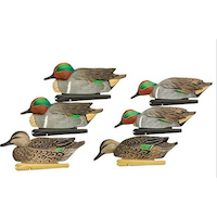 Avian X Topflight Green Winged Teal Hunting Duck Decoys, 10-in, 6-pk Composite_or_Mixed