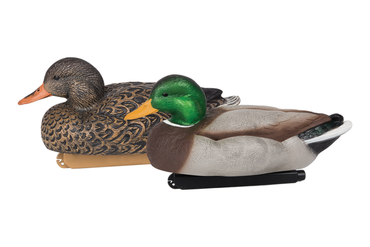 https://media-www.canadiantire.ca/product/playing/hunting/hunting-accessories/3750399/flextone-mallarddecoy-kit-6-pack-0a53e9da-6568-49a9-a54d-a2fe9fae21c2.png?imdensity=1&imwidth=640&impolicy=mZoom