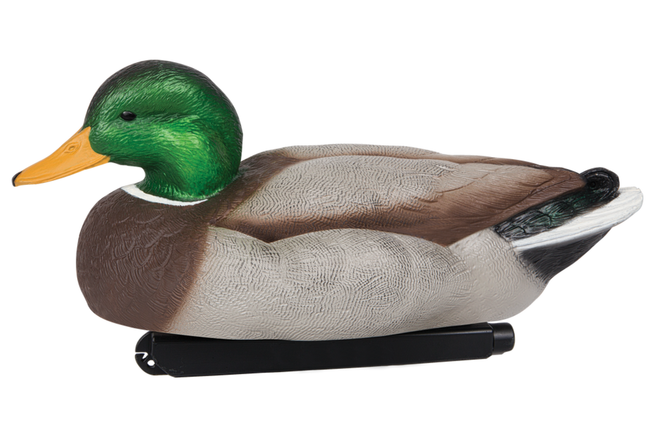 https://media-www.canadiantire.ca/product/playing/hunting/hunting-accessories/3750399/flextone-mallarddecoy-kit-6-pack-0ff05ccb-219f-4dd6-9fc4-410c28703172.png?imdensity=1&imwidth=1244&impolicy=mZoom