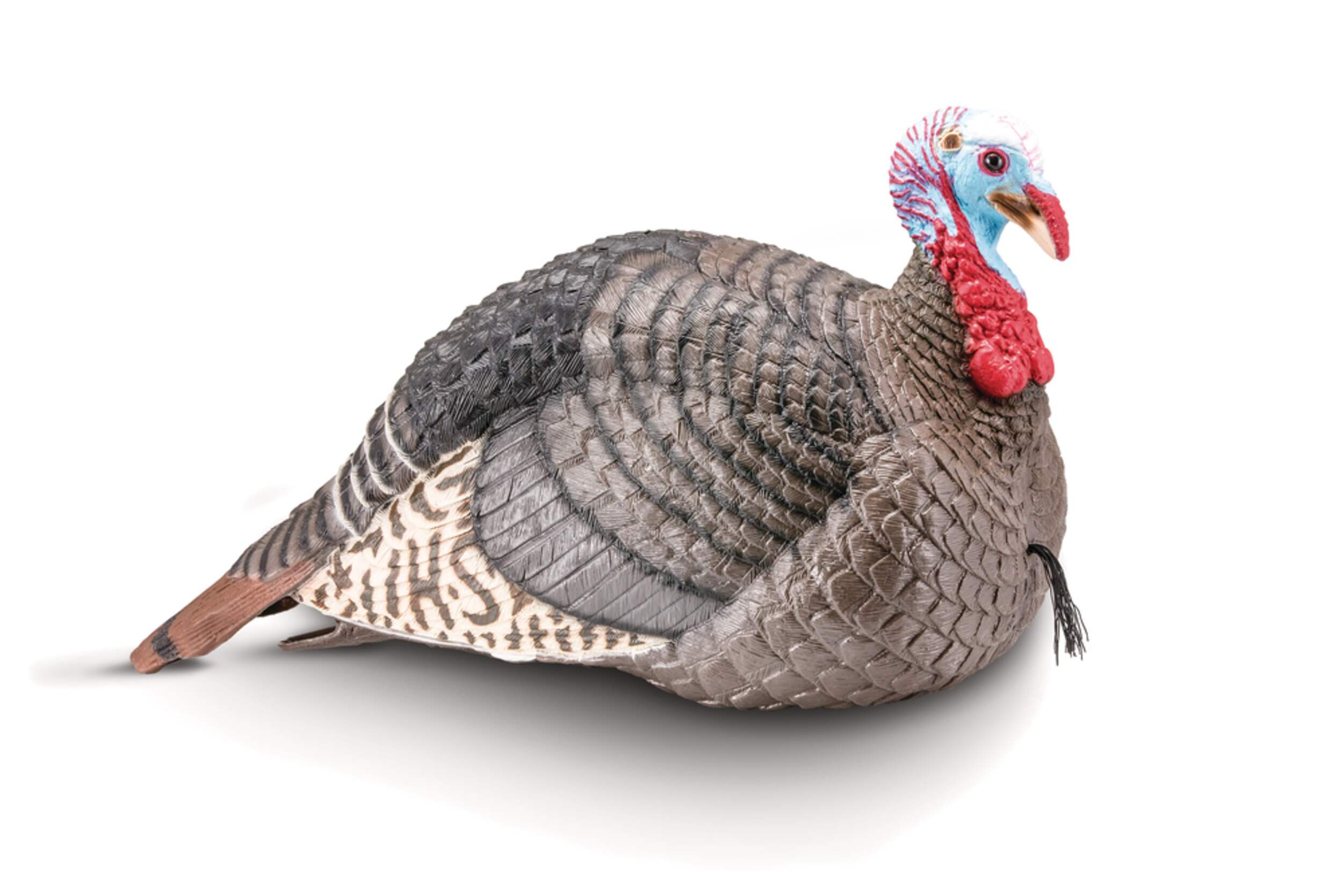 StrutLite Hollow Body Foldable Hunting Jake Turkey Hen Decoy