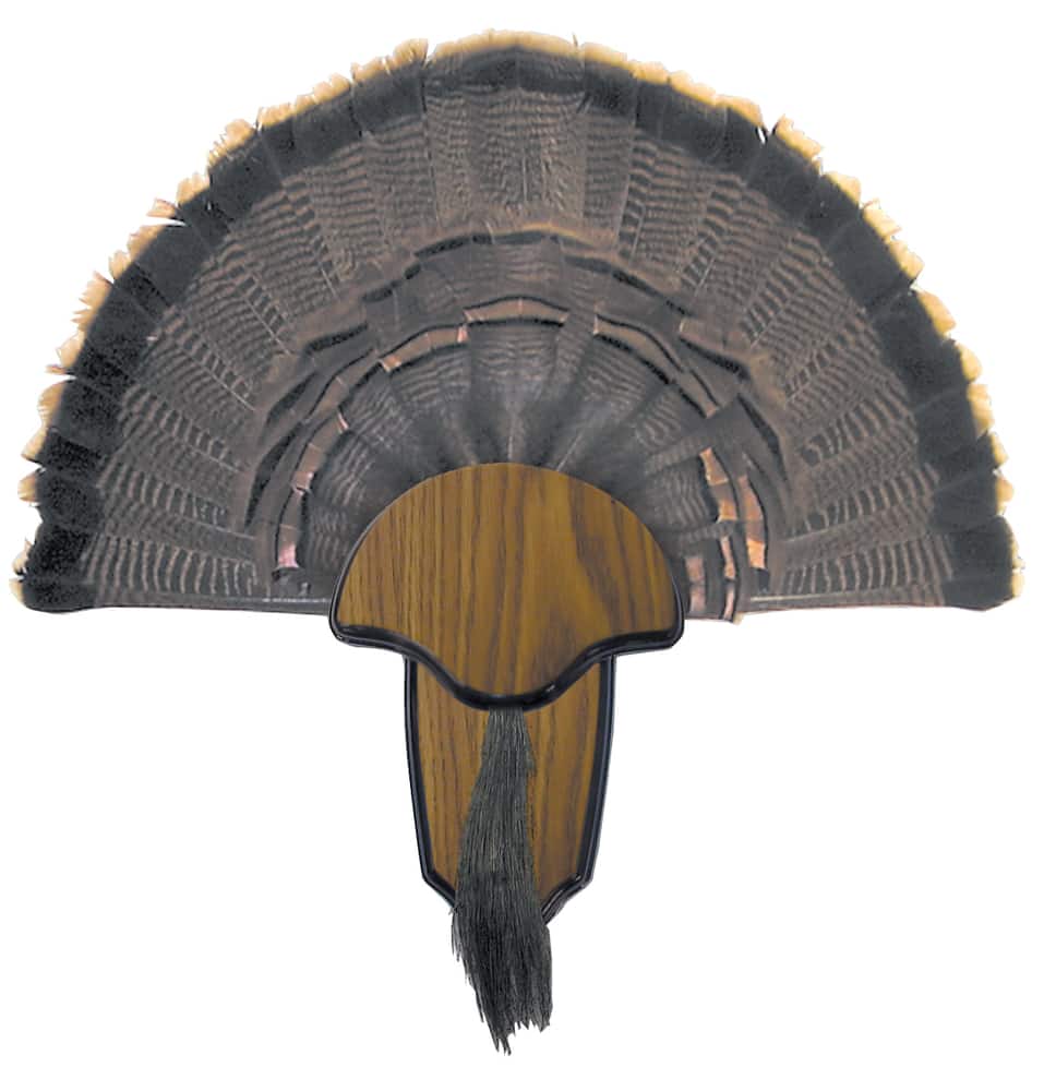 Hunters Specialties Hunting Turkey Tail & Beard Mounting Kit