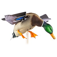 Appelant en canard au sol à aile tournante Avian X PowerFlight, plastique, photoréaliste Front_Three_Fourths_Angled_Right