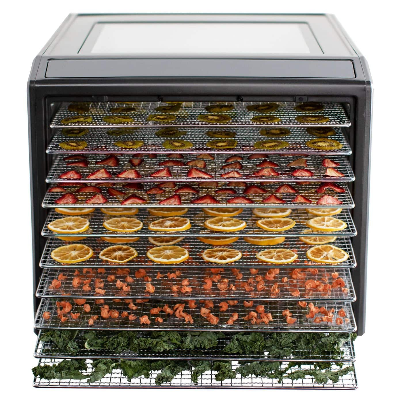 Excalibur Performance Series 10-Tray Food Dehydrator, Steel, 700W ...