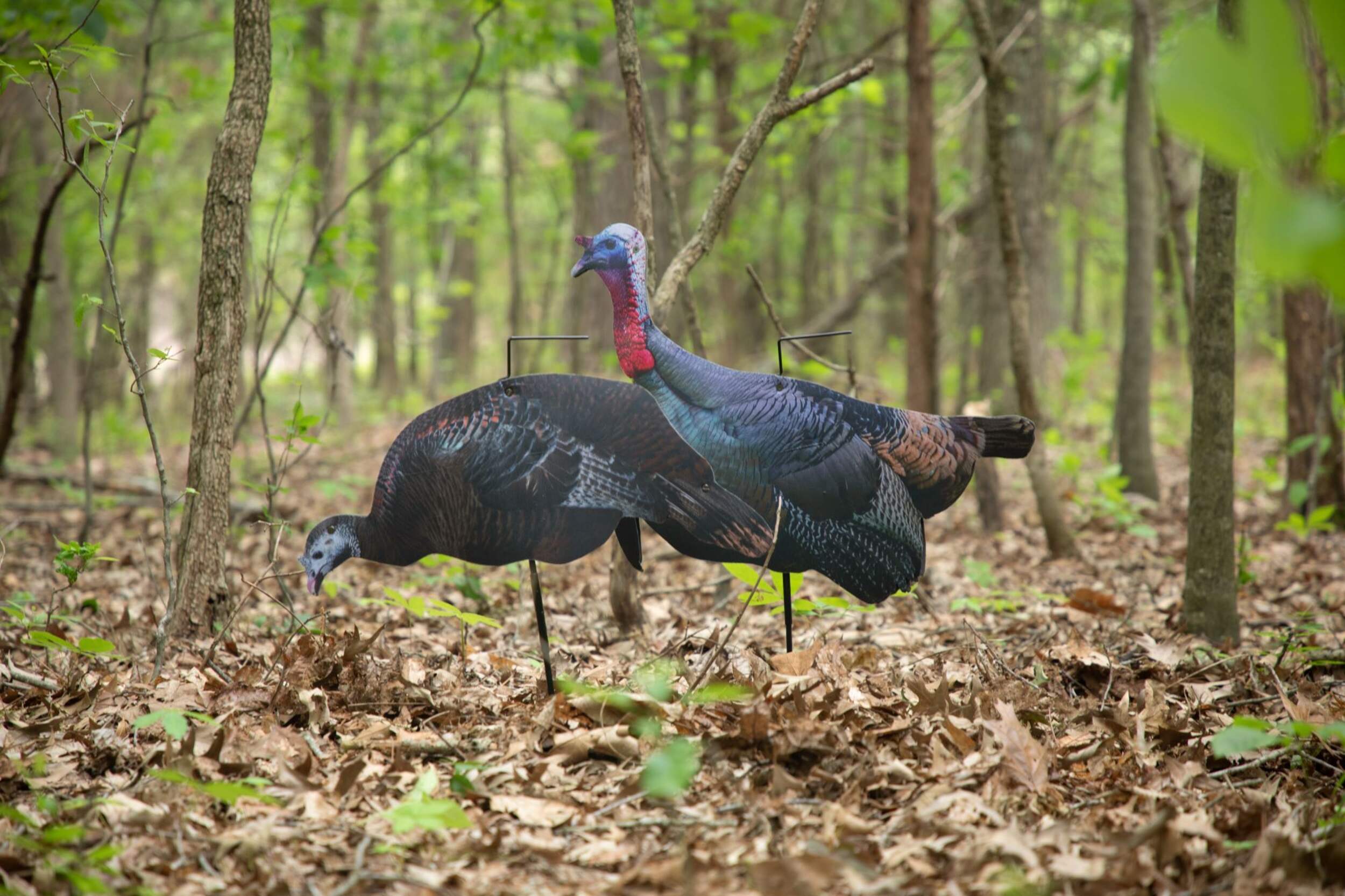 Higdon Outdoors FLEX Turkey Combo Silhouette, InGround Decoys