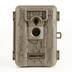 Moultrie