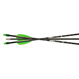 Bushnell Gold Tip Youth Fiberglass Arrows, 29-in with 2.5-in Vane, 3-pk CloseUp