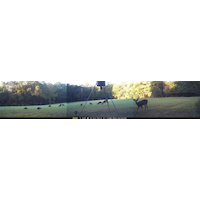Moultrie Panoramic 150 8MP Game Camera Front_Flat