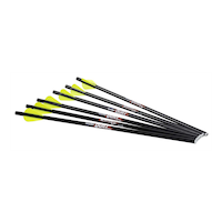 Carreaux d'arbalète de chasse à tige en carbone Excalibur Quill, 16,5 po, noir/jaune, paq. 6