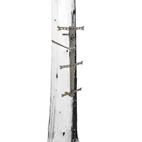 Hawk Helium Portable Tree Climbing Stick/SteP For Hunting, 10 x 30-in, 1-Pk Front_Angled_Right