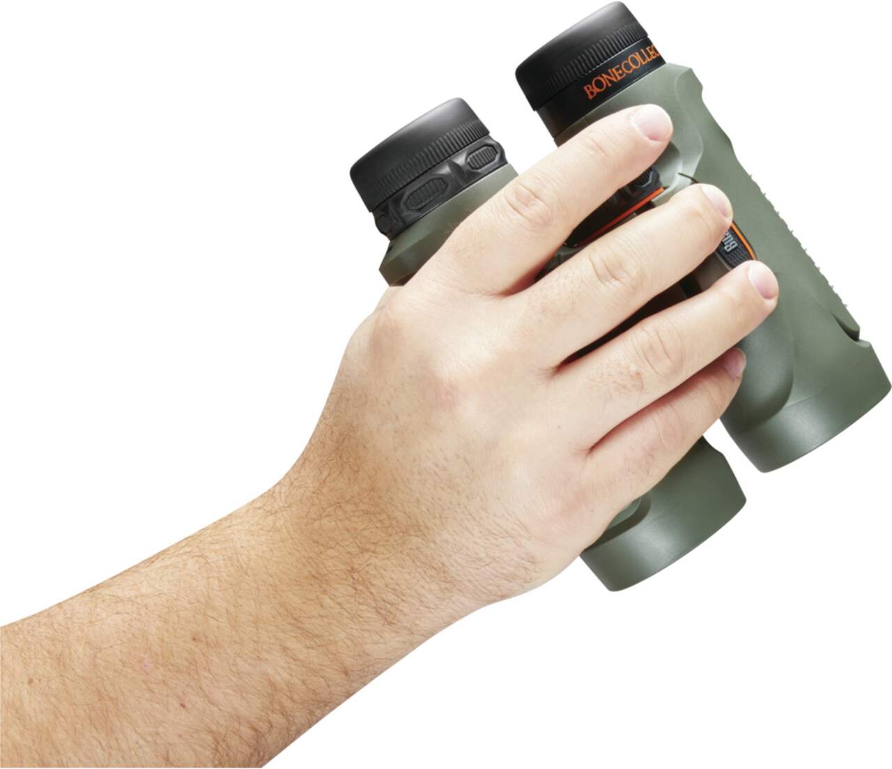 Bushnell trophy binoculars review sale