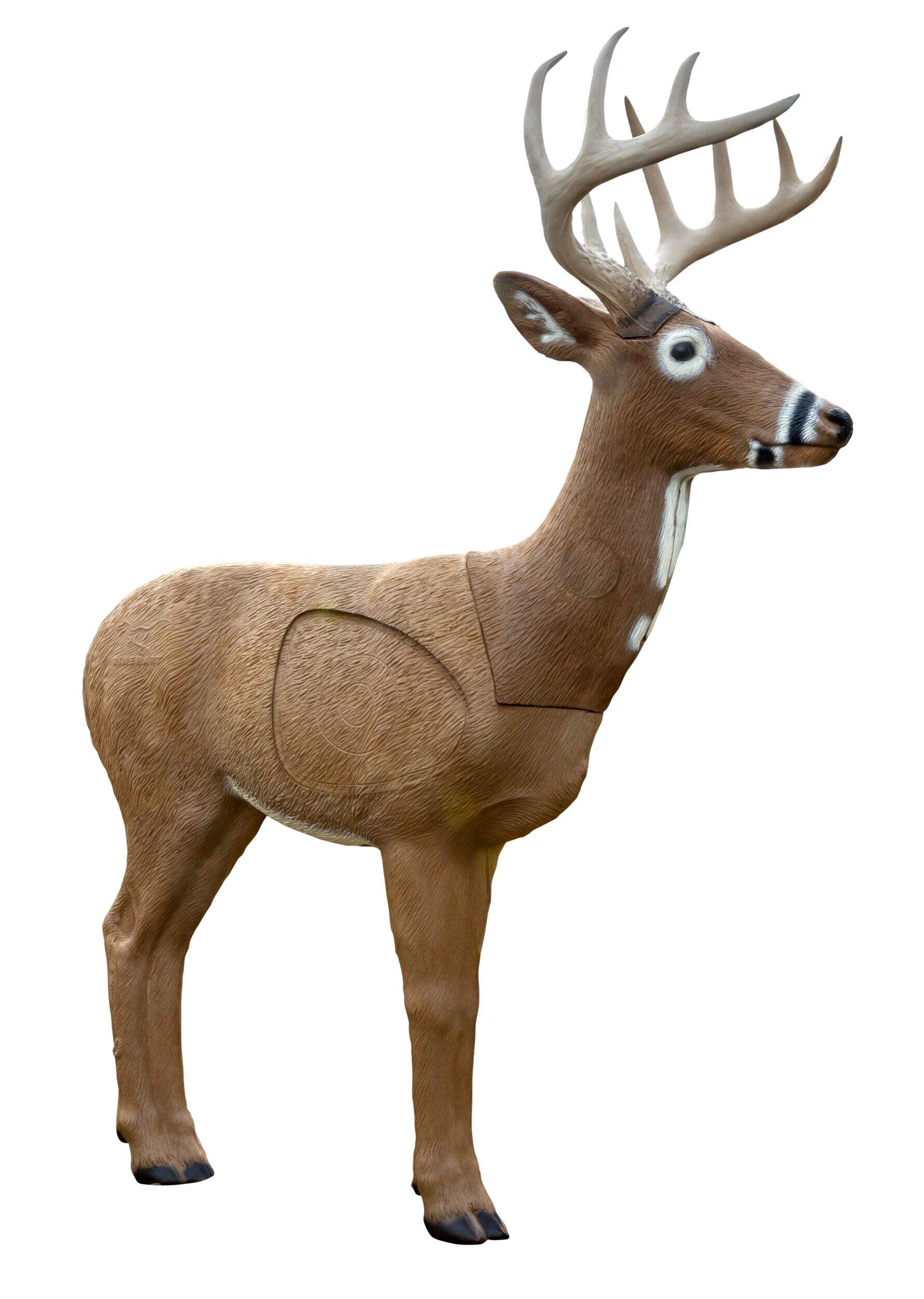 BIGROCK Rinehart Real Life Woodland Deer Archery Target Side_Right