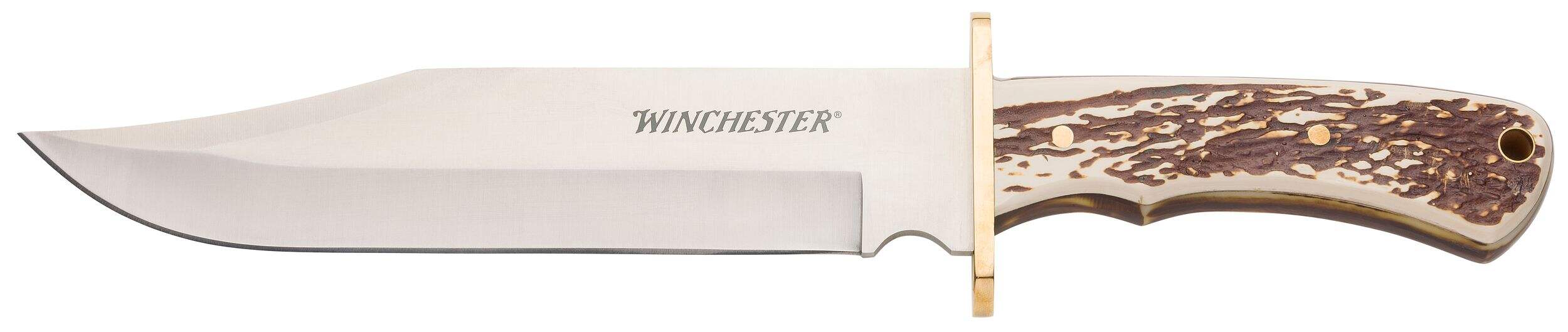 Couteau Bowie Winchester, os de cerf, 13 po Side_Left