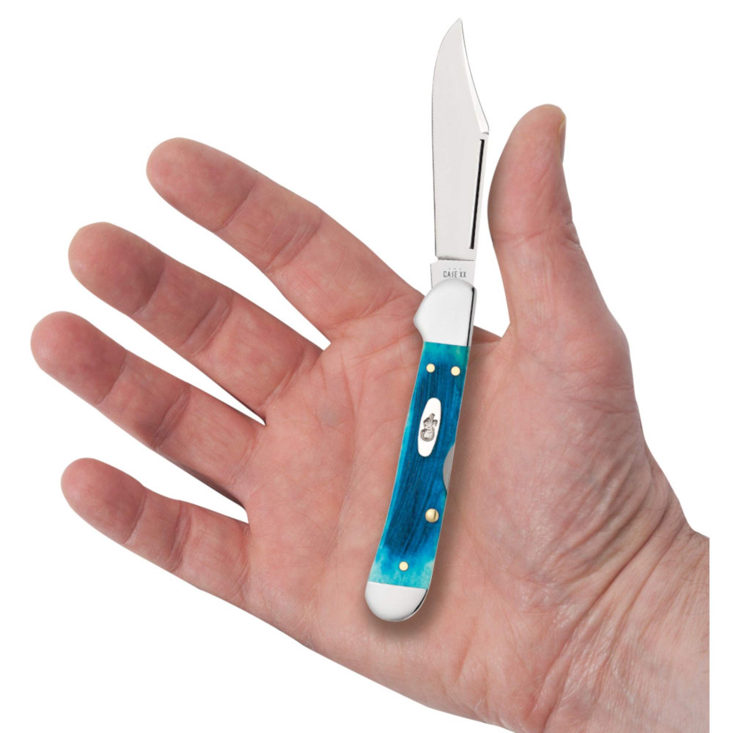 Case Sawcut Jig Caribbean Blue Bone Mini CopperLock® Knife with Clip Blade Front_Flat