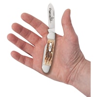 Case Amber Bone Peach Seed Canoe Pocket Fishing Knife with Spear and Pen Blades