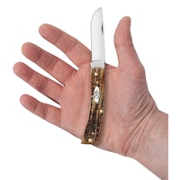 Couteau de poche pliant Case 6,5 Amber Bone Sod Buster Jr Front_Flat