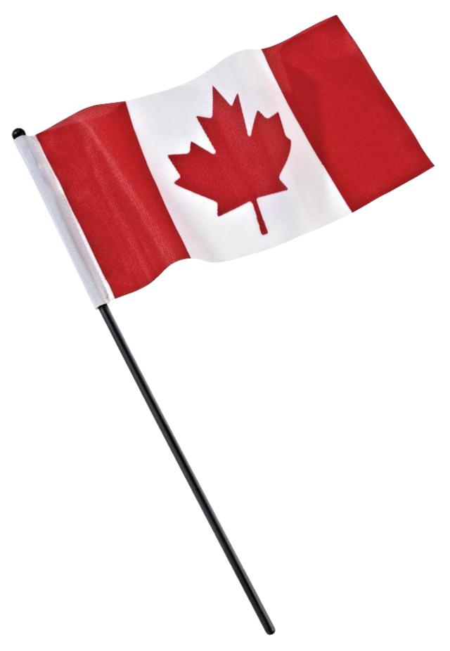 Small Boat Canada Flag with 14in Plastic Pole, 5 x 10in Canadian Tire