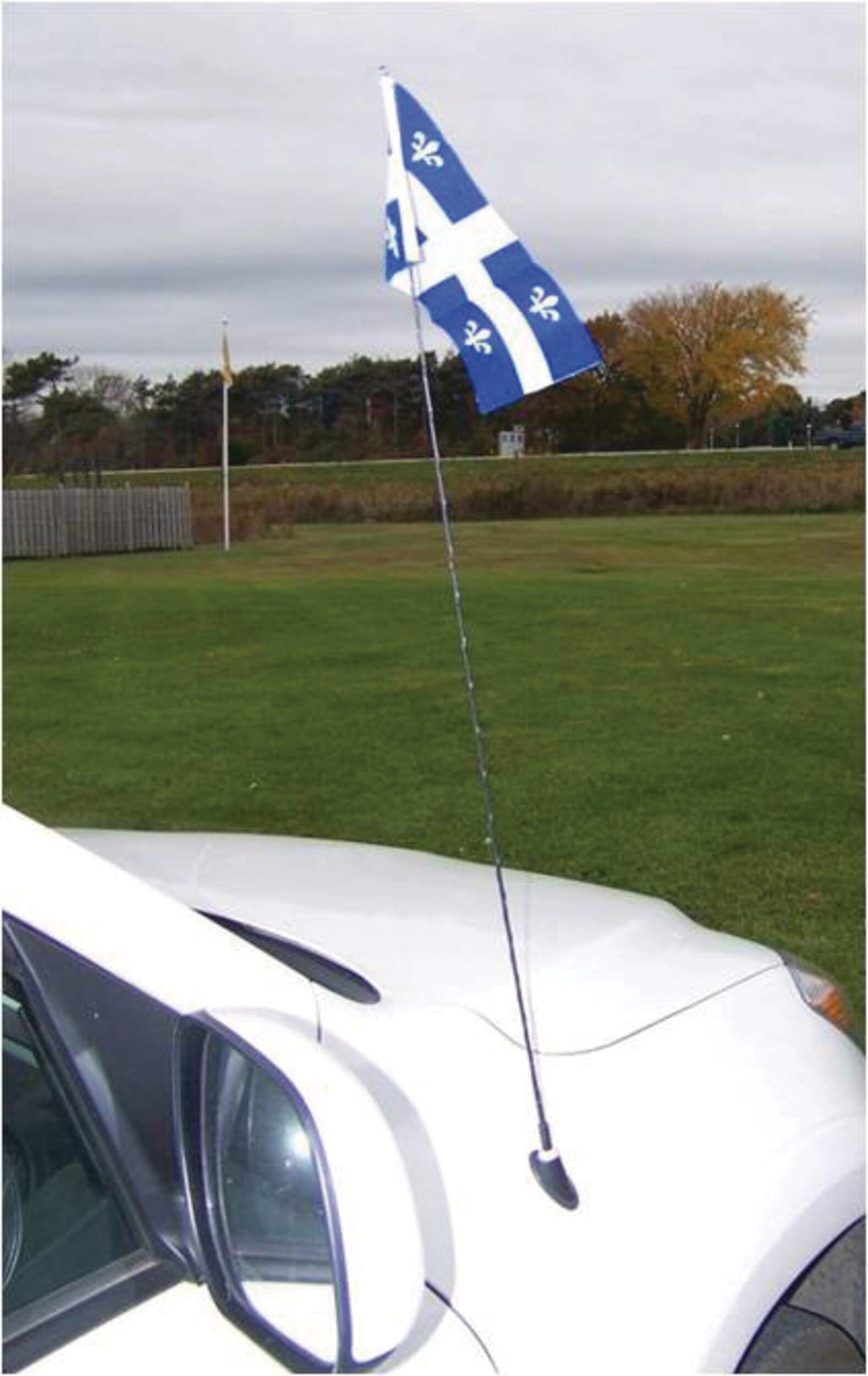 Polyester Quebec Aerial Flag 5 x 10-in Composite_or_Mixed