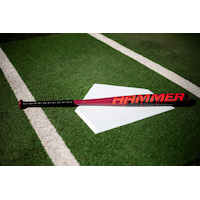 Easton Hammer Slow-Pitch Softball Bat, Aluminum, Red, 12-in, 26-oz Back_Flat